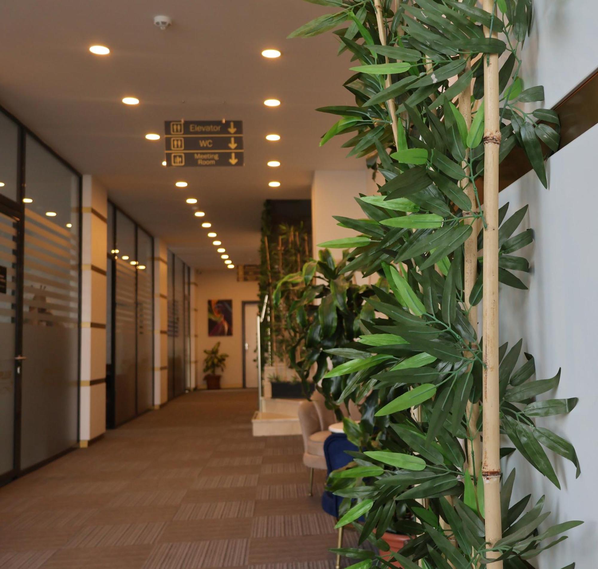 Home Plus Hotel 3*